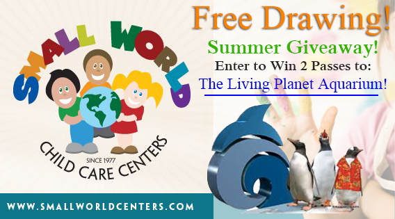 Small World Centers 2014 Summer of Giveaways